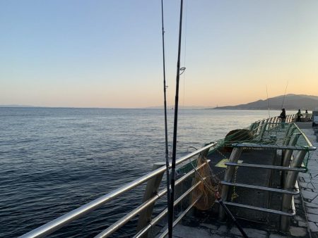 ショアジギング