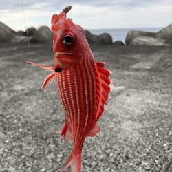 さすが室戸岬！