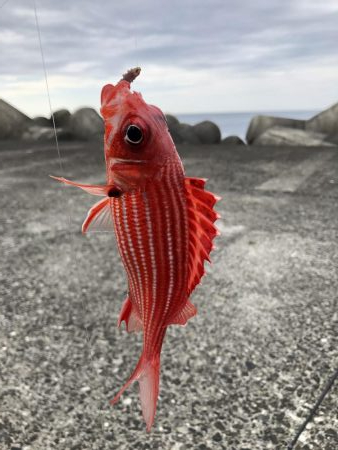 さすが室戸岬！