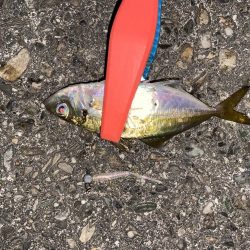 ボトムアジング