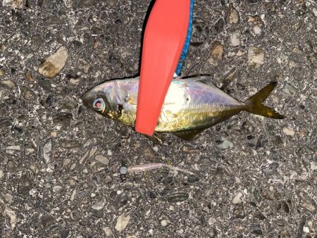 ボトムアジング