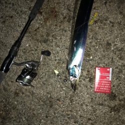 今年最後の淡路島遠征