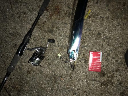 今年最後の淡路島遠征