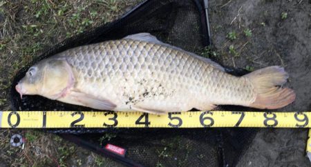 台風後のヘドロ濁りで