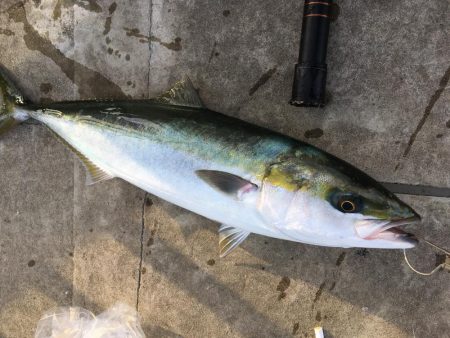 全部が美味いやつ！3目達成