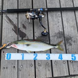 ショアジギング