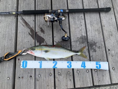 ショアジギング