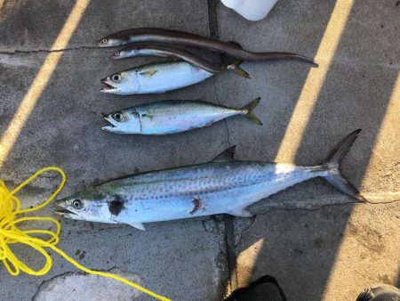 3目達成！秋は魚影濃い！