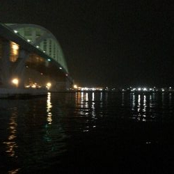 今年のタチウオ