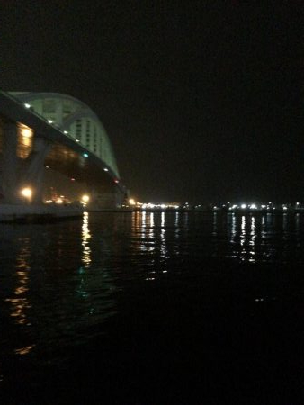 今年のタチウオ