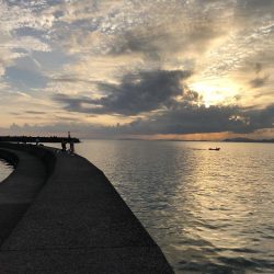 可動橋を眺めながら