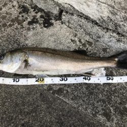 仕事終わりの短時間ゲーム