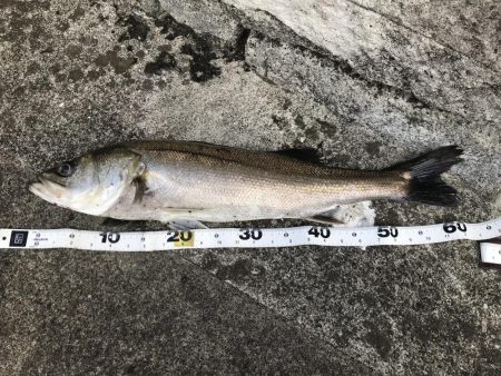 仕事終わりの短時間ゲーム