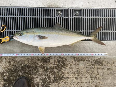 極寒の中粘ってメジロゲット！