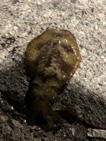 厳しい中でも…