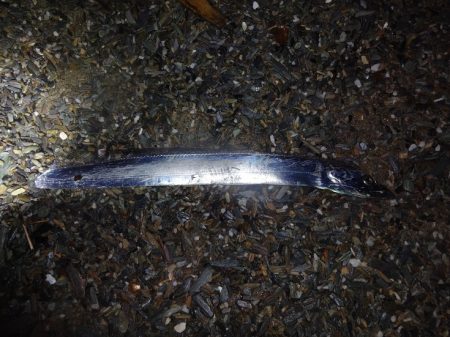 徳島連続遠征ですがそんなに甘くは無かったの…