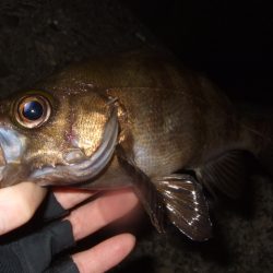 肌寒いけど水はまだ温い