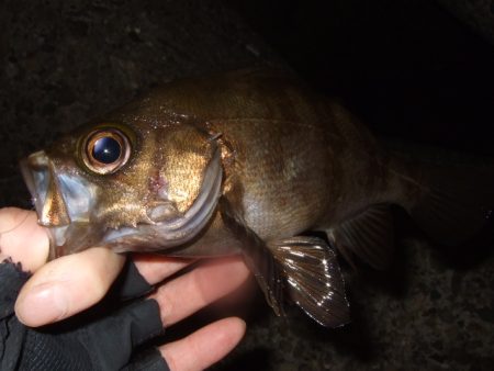 肌寒いけど水はまだ温い