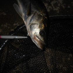 ロングAでヒット。