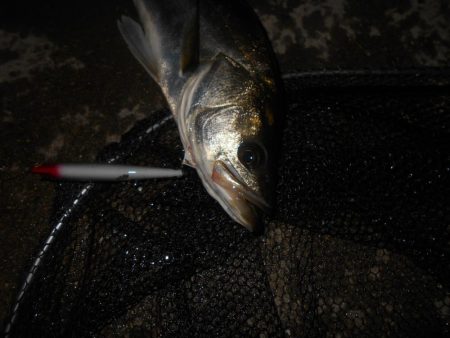 ロングAでヒット。