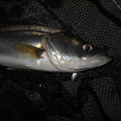 取りこぼしばっかり…。