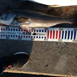 トップゲーム!!