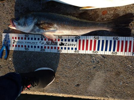 トップゲーム!!