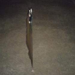 ワンタッチ、、、