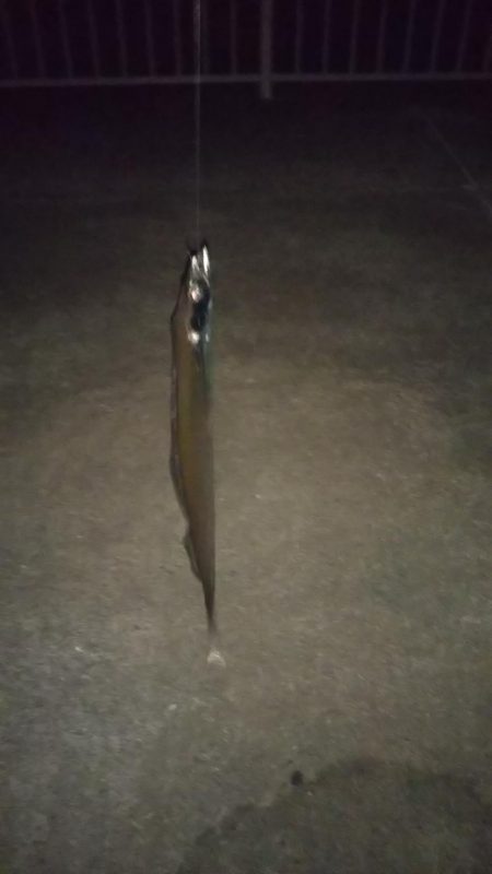 ワンタッチ、、、