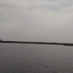 ファミリーフィッシング