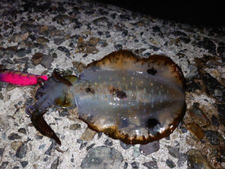 雨が降るまでに