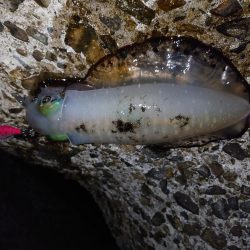 そろそろ終盤戦か