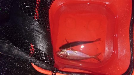 アジングアシストフック最強