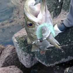 コアマンだけで勝負！