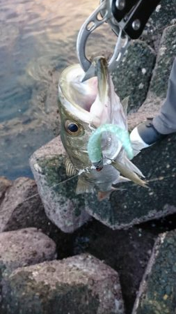 コアマンだけで勝負！