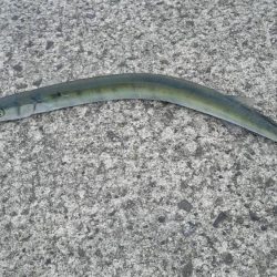 アジが良く釣れました。