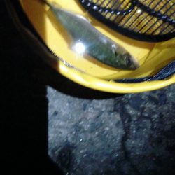 はじめての浮き釣り