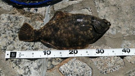 時期がやってきたみたい