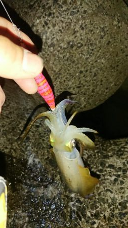 年々渋いかな？