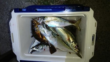 エギンガーからアジンガーへ？