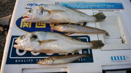 今日も厳しい釣行でした