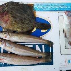 終盤を迎えた播磨新島のキス