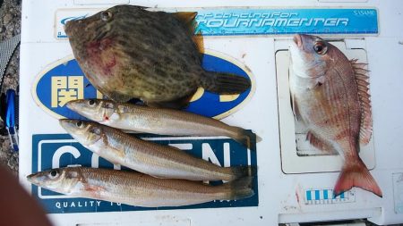 終盤を迎えた播磨新島のキス