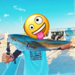 続メジロリベンジ