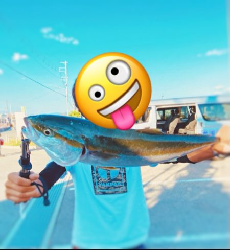 続メジロリベンジ