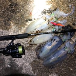 2020 佐渡ヶ島エギング 35回目