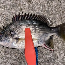 爆風ライトチニング