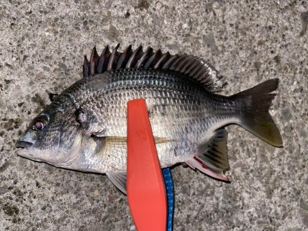 爆風ライトチニング