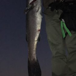 日曜日の夕まずめ