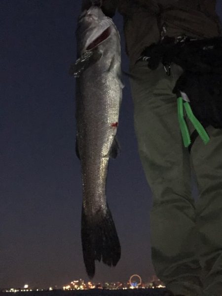 日曜日の夕まずめ